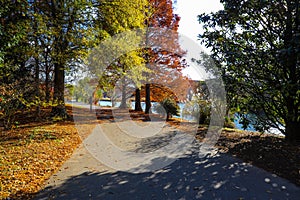 A stunning shot of gorgeous red autumn trees near a still lake in the park along a smooth walking path at Centennial Park