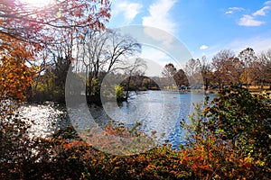 A stunning shot of gorgeous red autumn trees near a still lake in the park along a smooth walking path at Centennial Park