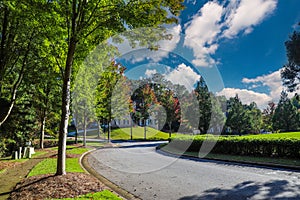 A stunning shot of gorgeous red and lush green autumn trees along the street with blue sky and clouds