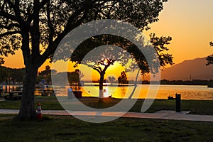 A stunning shot of a gorgeous yellow and orange sunset over a lake in the park surrounded by lush green trees park benches