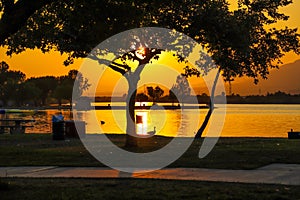 A stunning shot of a gorgeous yellow and orange sunset over a lake in the park surrounded by lush green trees park benches