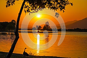 A stunning shot of a gorgeous yellow and orange sunset over a lake in the park surrounded by lush green trees park benches