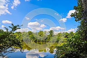 A stunning shot of the silky brown lake water at Candler Lake surrounded by lush green trees and plants reflecting off the lake