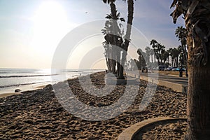 A stunning shot of the silky brown sand and the vast blue ocean water with tall lush green palm trees and a long smooth bike trail