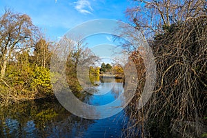 A stunning shot of the still blue waters of the lake in the park surrounded by gorgeous autumn colored trees