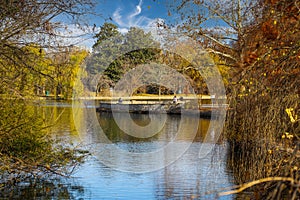 A stunning shot of the still blue waters of the lake in the park surrounded by gorgeous autumn colored trees