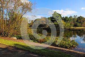 A stunning shot of a still lake in the park surrounded by lush green and autumn colored trees reflecting off the lake water