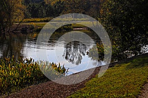 A stunning shot of a still lake in the park surrounded by lush green and autumn colored trees reflecting off the water