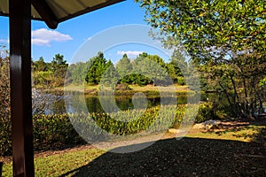 A stunning shot of a still lake in the park surrounded by lush green and autumn colored trees reflecting off the water