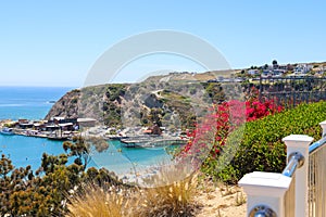 A stunning shot of the vast blue ocean water with white boats and yachts docked in the harbor and sailing in the harbor