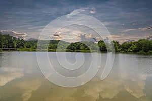 A stunning shot of the vast still silky brown river water of the Chattahoochee river with vast miles of lush green trees