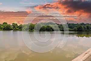 A stunning shot of the vast still silky brown river water of the Chattahoochee river with vast miles of lush green trees