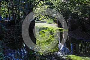 A stunning shot of water under a bridge surrounded by lush green trees reflecting off the water at Lennox Park