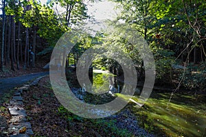 A stunning shot of water under a bridge surrounded by lush green trees reflecting off the water at Lennox Park