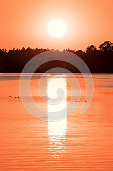 Stunning silhouette of ducks at amazing orange sunset