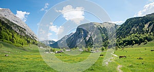 stunning spring landscape with green pasture, Eng tyrol, with heart shaped cloud