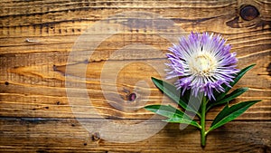 Stunning Stokesia Flower Flat Lay A Rustic Wooden Background for Branding Marketing or Website Design photo