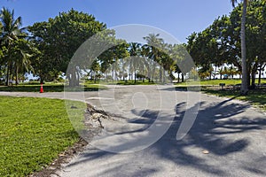 a stunning summer landscape at Crandon Park along a footpath with lush green palm trees and grass, people walking