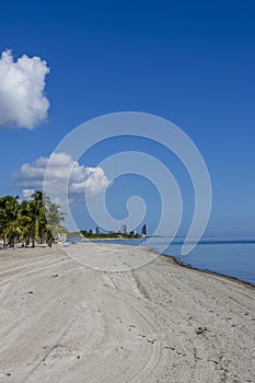 a stunning summer landscape at Crandon Park with blue ocean water, green palm trees and grass, people walking, hotels and condos