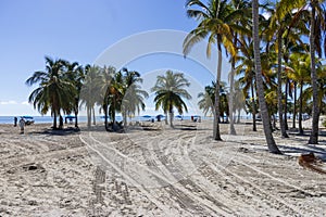 a stunning summer landscape at Crandon Park with blue ocean water, lush green palm trees and grass, benches and umbrellas