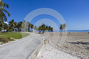 a stunning summer landscape at Crandon Park with blue ocean water, lush green palm trees and grass, benches and umbrellas