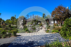 A stunning summer landscape in a Japanese garden with lush green trees and plants with brown buildings and clear blue sky