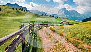 Stunning summer view of Sassolungo Langkofel range in National Park Dolomites, South Tyrol, Italy, Europe. Sunny morning scene o