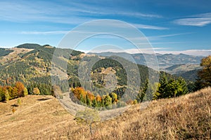 Stunning sunny morning scene. Beautiful view of Carpathian mountain scenery with autumn meadows and trees in beautiful sunny day