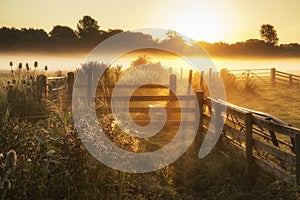 Stunning sunrise landscape over foggy English countryside with g