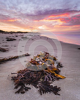 Stunning Sunrise At Queenscliff Pier