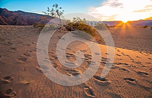 Stunning Sunset on the Dunes, Mesquite Flat Sand Dunes, Death Valley National Park, California