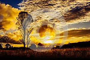 Stunning sunset sun setting behind tree, mountains rural Australia