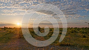 Stunning sunset view with silhouettes of small trees and vegetation:Okavango Delta, Botswana, Africa