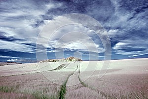 Stunning surreal false color infrared Summer landscape over agri