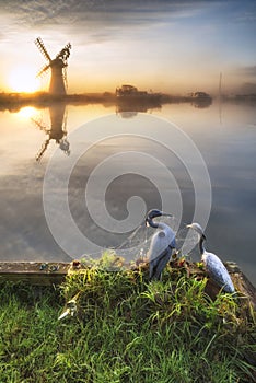 Stunning unrise landscape over foggy River Thurne looking toward