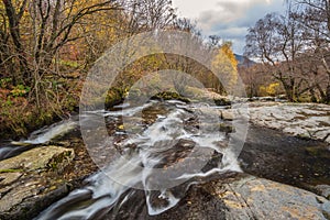 Stunning vibrant landscape image of Aira Force Upper Falls in Lake District during colorful Autumn showing