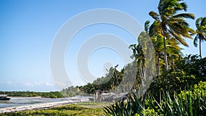Stunning view of a beautiful beach in Mocimboa da Praia, in the Cabo Delgado region of Mozambique photo