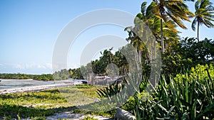 Stunning view of a beautiful beach in Mocimboa da Praia, in the Cabo Delgado region of Mozambique photo