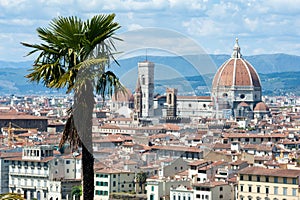 Stunning view of the city from Piazzale Michelangelo, in a sunny day. Palm tree in the foreground..