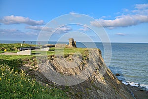Stunning view of cliffy seascape  old black cannons  yellow flowers  and Black Castle ruins  South Quay  Corporation Lands photo