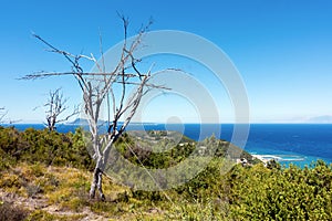 Stunning view down to the sea and the surrounding area from top of the mountain in Mathraki island, Greece