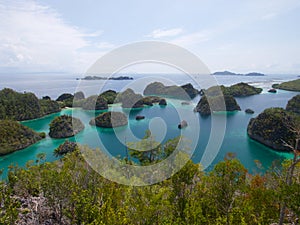 Stunning view of the Fam Islands, Raja Ampat, Indonesia photo