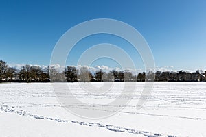 Stunning view footage of the snow taken in Harrogate