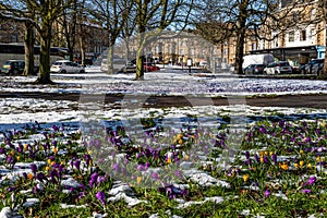 Stunning view footage of the snow taken in Harrogate
