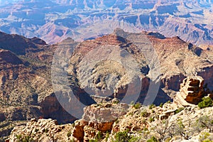 Stunning View of the Grand Canyon From Mountain Top