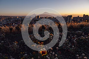 Stunning view of Mount Ararat and the city of Yerevan. Beautiful sunset