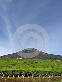 Stunning view of Mount Dempo with a clear blue sky in the background photo