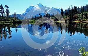 Stunning view of Mount Shuksan and its reflection in Picture Lake