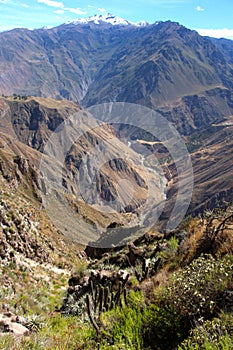 The stunning view over the Colca Canyon