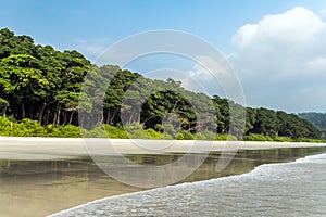 Stunning view of Radhanagar Beach on Havelock Island.